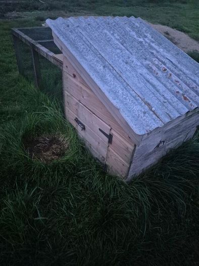 Chicken Coop, Rabbit Hutch