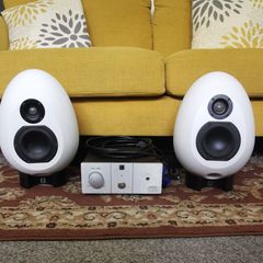 Munro Sonic EGG100 speakers