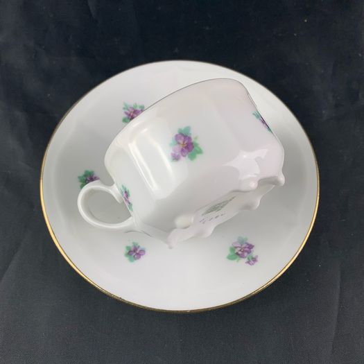 Antique Carl Teichert Meissen Demitasse Cup and Saucer