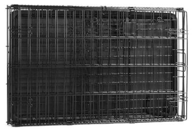 dog crate