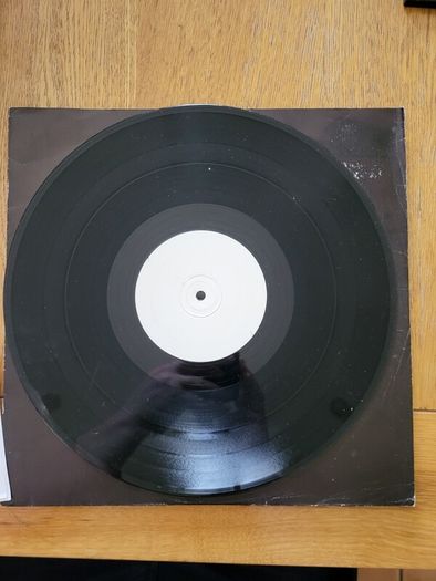 Echobelly I Cant Imagine A World Without Me 12 inch vinyl promo