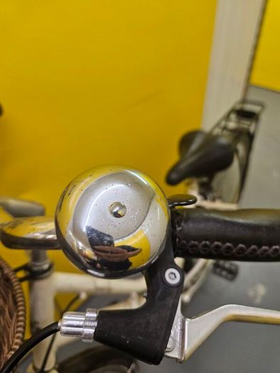 pendelton ladies bike