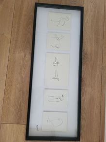 Picasso Picture