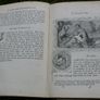 Vintage Book of common prayer United church of England and Ireland Image 3