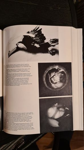 International Zoo Yearbook Volume 18. Edited By P. J. S. Olney. Published By The Zoological Society Of London. First Edition. Hardback With Dustjacket In Very Good Condition.