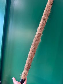 Moss Pole for Plants