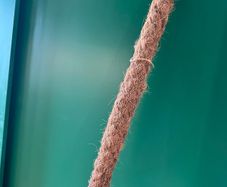 Moss Pole for Plants