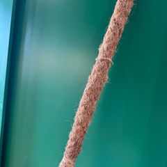 Moss Pole for Plants