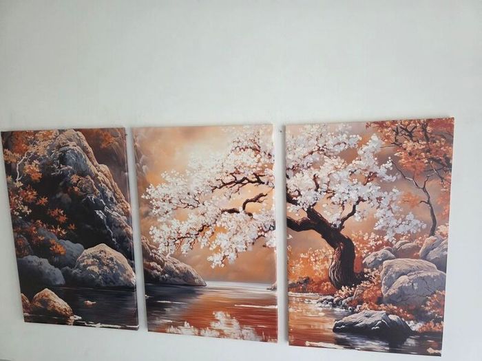 3 canvas framed 46x66cm each size