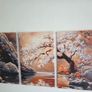 3 canvas framed 46x66cm each size Image 4