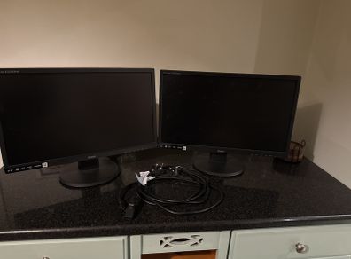 Pair of Monitors