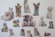 Wall decal