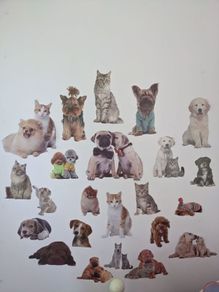 Wall decal