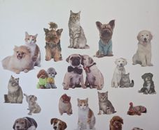 Wall decal