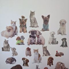 Wall decal