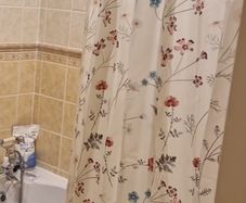 Shower curtain + rail