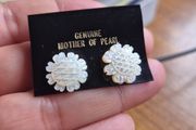 Vintage Mother of Pearl Earrings