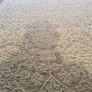 Carpet Image 4