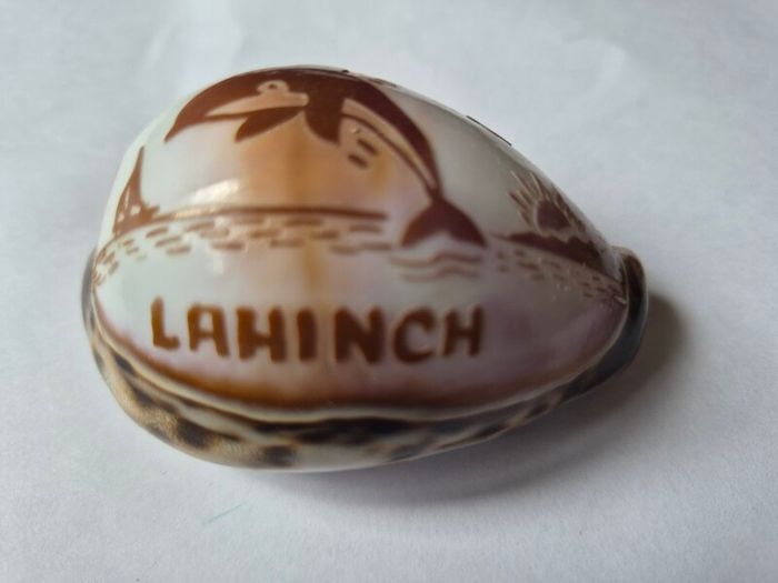 Shell ornament