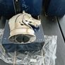 50 silver horse head money boxes ideal for using in a promotion Image 2