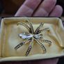 Vintage Irish Spider Brooch Image 3
