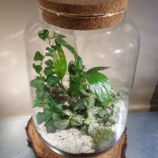 Lantern large - white H38 x W25 cm
