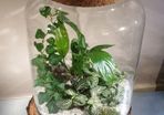 Lantern large - white H38 x W25 cm