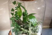 Lantern large - white H38 x W25 cm