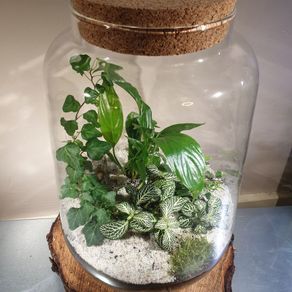 Lantern large - white H38 x W25 cm