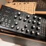 Moog Subharmonicon Image 3