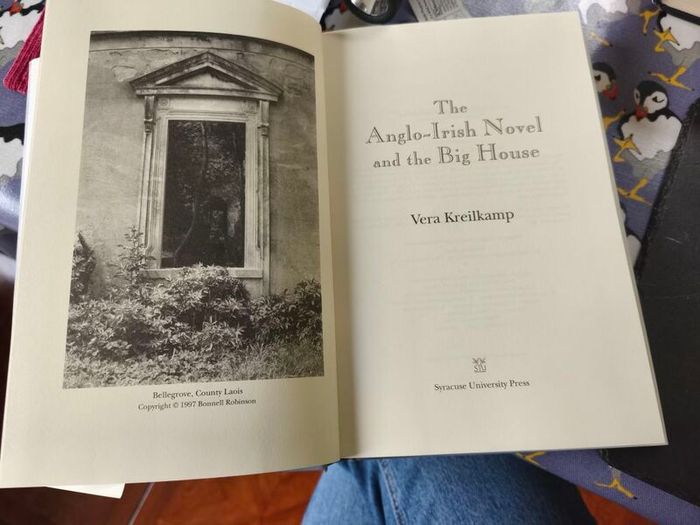 The Anglo Irish Novel and the Big House by Vera Kreilkamp