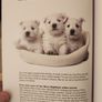 West Highland White Terrier.manual And Reference Guide.  Hardback In Good Condition. Image 10