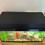 Fish tank 54litres. Image 2