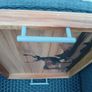 Beautul New Wooden Stag Tray Image 4