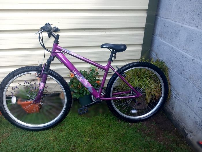 bikes