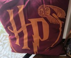 harry potter cushions