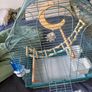 New Parrot/bird Cage Starter Kit + Tons of Accessories Image 3
