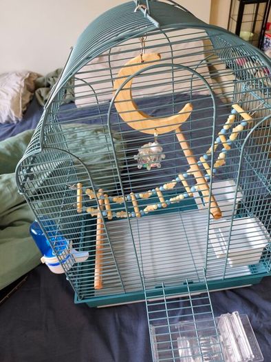 New Parrot/bird Cage Starter Kit + Tons of Accessories