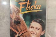 y Friend Flicka - DVD