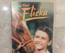 y Friend Flicka - DVD