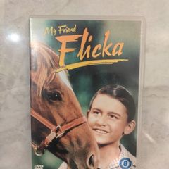 y Friend Flicka - DVD