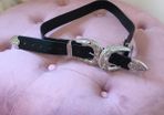 stylish belt