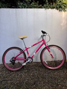 Raleigh Pop 24 - kids bike