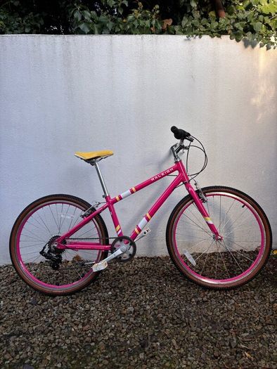 Raleigh Pop 24 - kids bike