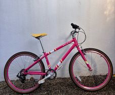 Raleigh Pop 24 - kids bike