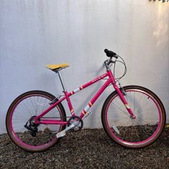 Raleigh Pop 24 - kids bike