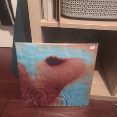Pink Floyd - Meddle Vinyl