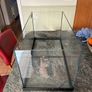 fish tank Image 4