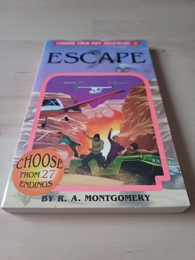 Choose Your Own Adventure by R.A. Montgomery (Illustrated Fantasy Retro Game Books 2005 NEW)