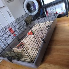 Rabbit Cage & Accessories